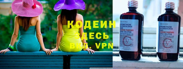 дживик Богородск