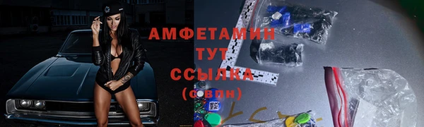 дживик Богородск