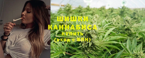 дживик Богородск